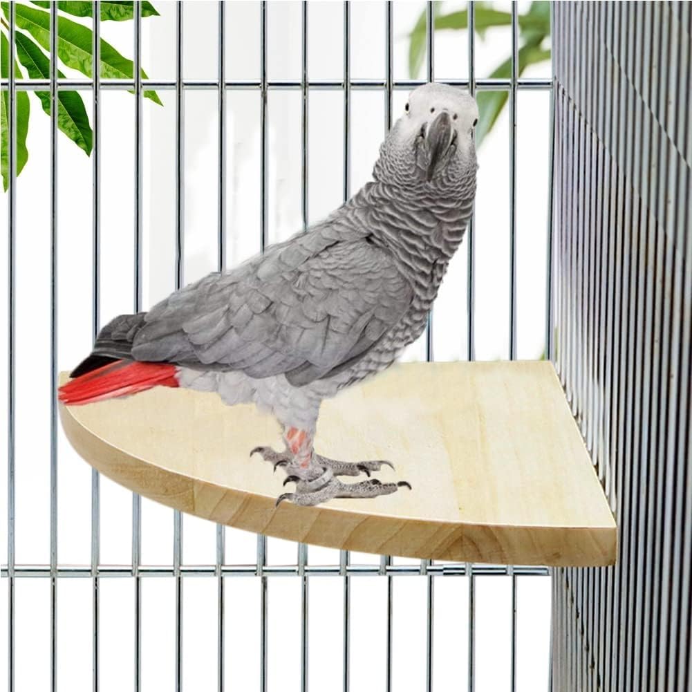 Amazon | MUYYIKA 鳥 止まり木 止まり台 木製 コーナー インコ